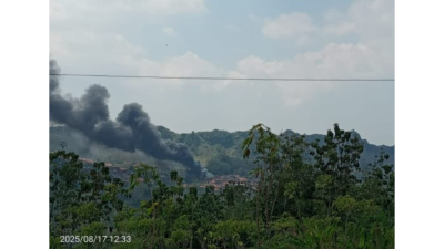 TUTURPEDIA - Kebakaran Sumur Minyak Di Blora, Menjadi Perhatian Wakil Gubernur Jawa Tengah Taj Yasin