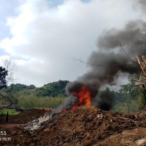Insiden Kebakaran Sumur Bor Minyak Bogorejo Bertambah Satu, Total 4 Korban Jiwa MD
