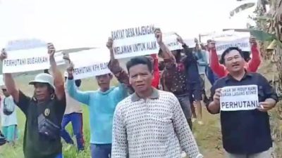 SK PRESIDEN DIINJAK-INJAK? Petani Hutan Kajengan 'Sandera' Pekerja, Protes Keras Perhutani Tolak Serahkan Lahan! 4 TUTURPEDIA - SK PRESIDEN DIINJAK-INJAK? Petani Hutan Kajengan 'Sandera' Pekerja, Protes Keras Perhutani Tolak Serahkan Lahan!