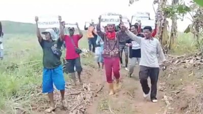 SK PRESIDEN DIINJAK-INJAK? Petani Hutan Kajengan 'Sandera' Pekerja, Protes Keras Perhutani Tolak Serahkan Lahan! 2 TUTURPEDIA - SK PRESIDEN DIINJAK-INJAK? Petani Hutan Kajengan 'Sandera' Pekerja, Protes Keras Perhutani Tolak Serahkan Lahan!