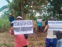 SK PRESIDEN DIINJAK-INJAK? Petani Hutan Kajengan ‘Sandera’ Pekerja, Protes Keras Perhutani Tolak Serahkan Lahan!