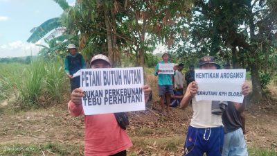 SK PRESIDEN DIINJAK-INJAK? Petani Hutan Kajengan 'Sandera' Pekerja, Protes Keras Perhutani Tolak Serahkan Lahan! 6 TUTURPEDIA - SK PRESIDEN DIINJAK-INJAK? Petani Hutan Kajengan 'Sandera' Pekerja, Protes Keras Perhutani Tolak Serahkan Lahan!