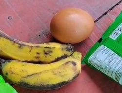 Diduga Bantuan Makanan Bergizi di Blora “Cuma” Pisang, Telur, dan Jajanan Rp1.000. Warga Minta Wakil Bupati Turun Tangan!