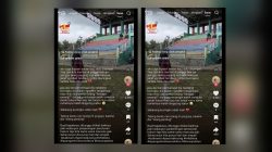 Curhat Pemilik Kucing di Blora Viral: Peliharaan Diduga Ditendang Saat Jogging hingga Mati