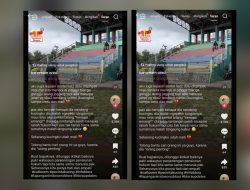 Curhat Pemilik Kucing di Blora Viral: Peliharaan Diduga Ditendang Saat Jogging hingga Mati