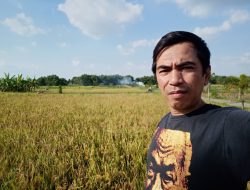 Viral Kucing Ditendang hingga Tewas, Publik Murka: Ujian Nurani dan Ketegasan Hukum di Blora