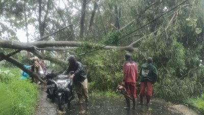 Pemkot Semarang Imbau Warga Masyarakat Waspada Potensi Bencana Hidrometeorologi 3 TUTURPEDIA - Pemkot Semarang Imbau Warga Masyarakat Waspada Potensi Bencana Hidrometeorologi
