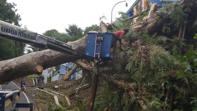 Pemkot Semarang Imbau Warga Masyarakat Waspada Potensi Bencana Hidrometeorologi 5 TUTURPEDIA - Pemkot Semarang Imbau Warga Masyarakat Waspada Potensi Bencana Hidrometeorologi