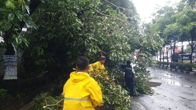 Pemkot Semarang Imbau Warga Masyarakat Waspada Potensi Bencana Hidrometeorologi 6 TUTURPEDIA - Pemkot Semarang Imbau Warga Masyarakat Waspada Potensi Bencana Hidrometeorologi