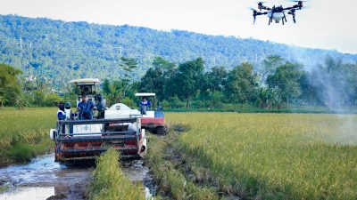 Panen Raya Serentak 35 Daerah di Jawa Tengah, 3 Bulan Hasilkan 3,35 Juta Ton GKG* 3 TUTURPEDIA - Panen Raya Serentak 35 Daerah di Jawa Tengah, 3 Bulan Hasilkan 3,35 Juta Ton GKG*