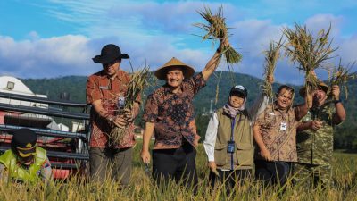 Panen Raya Serentak di 35 Daerah, Jateng Bidik 3,35 Juta Ton Gabah Awal 2026 3 TUTURPEDIA - Panen Raya Serentak di 35 Daerah, Jateng Bidik 3,35 Juta Ton Gabah Awal 2026