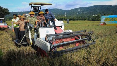 Panen Raya Serentak di 35 Daerah, Jateng Bidik 3,35 Juta Ton Gabah Awal 2026 4 TUTURPEDIA - Panen Raya Serentak di 35 Daerah, Jateng Bidik 3,35 Juta Ton Gabah Awal 2026