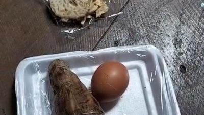 Menu MBG di Randublatung Diduga Basi, Warga Blora Keluhkan Ketela Boleng Tak Layak Konsumsi