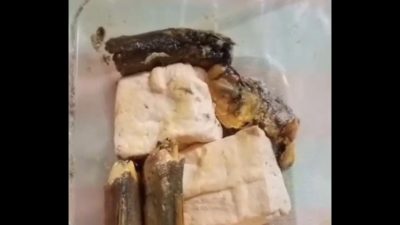 MBG Blora Kota Tercoreng! Menu Diduga Berbelatung di SD Muhammadiyah, Wali Murid Murka: “Ini Bukan Makan Bergizi Gratis, Tapi Makanan Beracun Gratis!” 3 TUTURPEDIA - MBG Blora Kota Tercoreng! Menu Diduga Berbelatung di SD Muhammadiyah, Wali Murid Murka: “Ini Bukan Makan Bergizi Gratis, Tapi Makanan Beracun Gratis!”