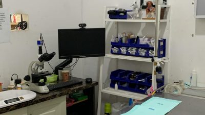 Made Animal Care dan M&A Pet Supply: Klinik Hewan dan Petshop Terintegrasi yang Mengutamakan Diagnosis Berbasis Data di Sleman 3 TUTURPEDIA - Made Animal Care dan M&A Pet Supply: Klinik Hewan dan Petshop Terintegrasi yang Mengutamakan Diagnosis Berbasis Data di Sleman