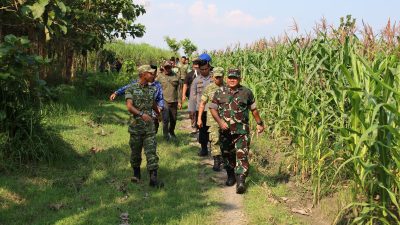 TUTURPEDIA - Danrem Turun Gunung! 77 Hektare Hutan Blora Disiapkan Jadi Batalyon Strategis, Proyek Dimulai Tahun Ini