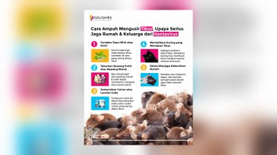 Cara Ampuh Mengusir Tikus, Upaya Serius Jaga Rumah dan Keluarga dari Ancaman Hantavirus 3 TUTURPEDIA - Cara Ampuh Mengusir Tikus, Upaya Serius Jaga Rumah dan Keluarga dari Ancaman Hantavirus