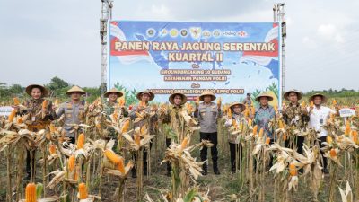 Panen Raya Jagung Serentak, Wagub Jateng Dukung Langkah Polri Jaga Ketahanan Pangan 3 TUTURPEDIA - Panen Raya Jagung Serentak, Wagub Jateng Dukung Langkah Polri Jaga Ketahanan Pangan