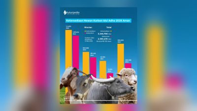 Stok Hewan Kurban Idul Adha 2026 Dipastikan Aman, Kementan Catat Surplus Hampir 900 Ribu Ekor 3 TUTURPEDIA - Stok Hewan Kurban Idul Adha 2026 Dipastikan Aman, Kementan Catat Surplus Hampir 900 Ribu Ekor