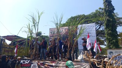 Petani Tebu Blora Ancam Long March ke Jakarta, Desak Perbaikan Pabrik GMM dan Kepastian Nasib Panen 3 TUTURPEDIA - Petani Tebu Blora Ancam Long March ke Jakarta, Desak Perbaikan Pabrik GMM dan Kepastian Nasib Panen