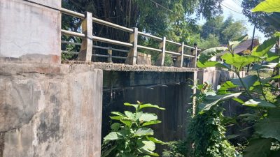 Jembatan Glagahan Terancam Putus, Warga Jepangrejo Desak Pemprov Jateng dan Pemkab Blora Segera Bertindak 3 TUTURPEDIA - Jembatan Glagahan Terancam Putus, Warga Jepangrejo Desak Pemprov Jateng dan Pemkab Blora Segera Bertindak