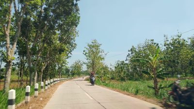 Mulus Tapi Gelap! Jalan Tunjungan–Japah Bikin Nyaman Siang Hari, Warga Minta PJU Demi Keamanan Malam 3 TUTURPEDIA - Mulus Tapi Gelap! Jalan Tunjungan–Japah Bikin Nyaman Siang Hari, Warga Minta PJU Demi Keamanan Malam