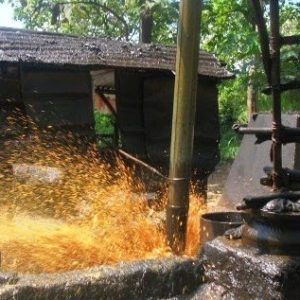 Inilah Faktor yang Bikin Blora Berpotensi Jadi Produsen Minyak Terbesar di Indonesia