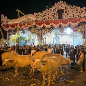 Jalani Prosesi Kirab, Piter Jelaskan Filosofi Iring-iringan Kebo Bule