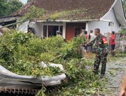Cuaca Ekstrem di Salatiga: 42 Lokasi Terdampak Angin Kencang, BPBD Turun Tangan