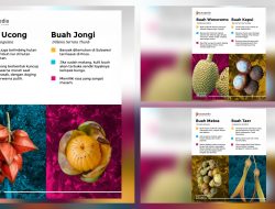 Enam Buah Lokal Indonesia yang Jarang Dikenal, Tumbuh dari Hutan hingga Pegunungan