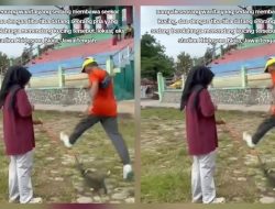 Viral! Pelari Diduga Tendang Kucing Peliharaan di Blora, Warganet Murka