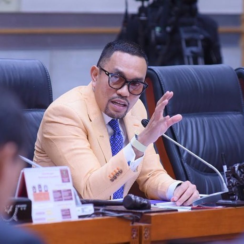 Komisi III DPR RI akan panggil investor yang berinvestasi di Pulau Rempang. FOTO: Instagram.com/ahmadsahroni88