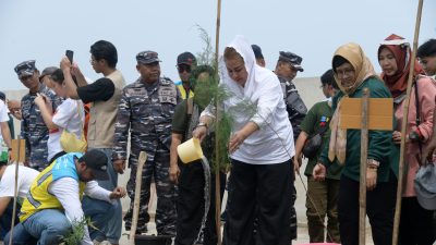 Pemkot Semarang Tangani Banjir Rob dengan Penanaman 400 Bibit Pohon di Tambak Lorok