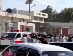 Kronologi Bom Bunuh Diri Tewaskan 54 Orang di Pakistan
