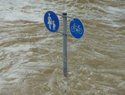 Hujan Lebat di Semarang Akibatkan Banjir hingga Pohon Tumbang di Beberapa Wilayah