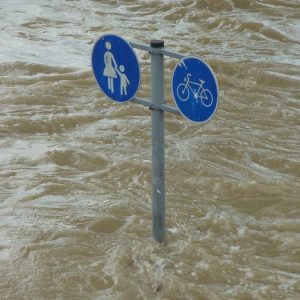 Hujan Lebat di Semarang Akibatkan Banjir hingga Pohon Tumbang di Beberapa Wilayah