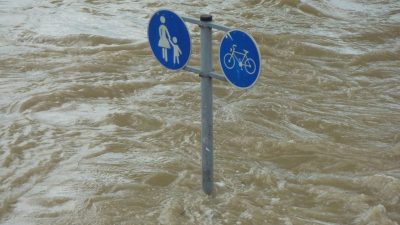 Hujan Lebat di Semarang Akibatkan Banjir hingga Pohon Tumbang di Beberapa Wilayah