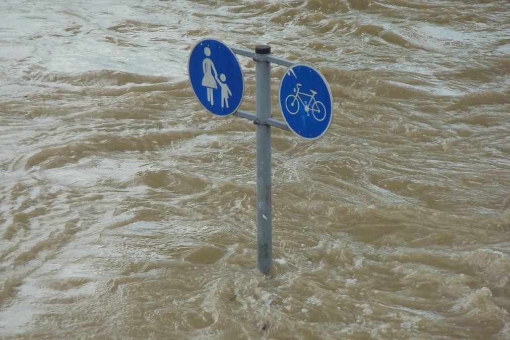 Banjir di Kota Semarang mengakibatkan pohon tumbang. Foto: pixabay.com/hermann