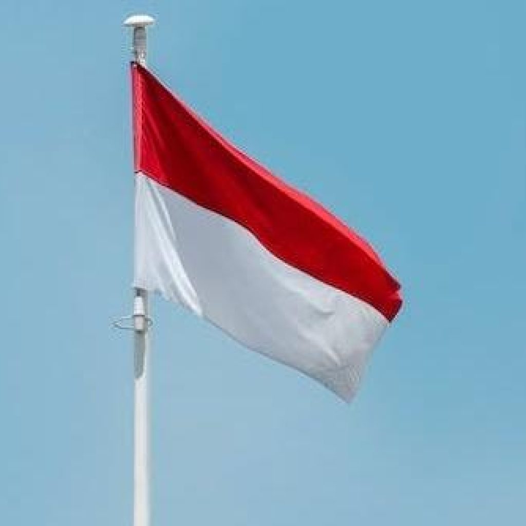 Atdikbud gencarkan promosi Bahasa Indonesia di Australia. Foto: Pexels.com/Aboodi Vesakaran