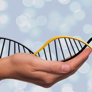 Peneliti sedang Membuat Hard Drive DNA untuk Penyimpanan Data di Masa Depan