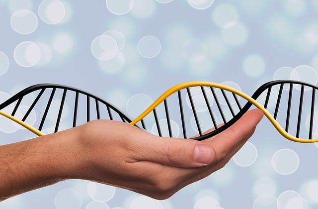 Makin maju, DNA bisa jadi penyimpanan digital di masa depan. Foto: pixabay.com/geralt