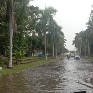 Waspada! Berikut Daftar Wilayah di Jakarta yang Berpotensi Alami Banjir Rob