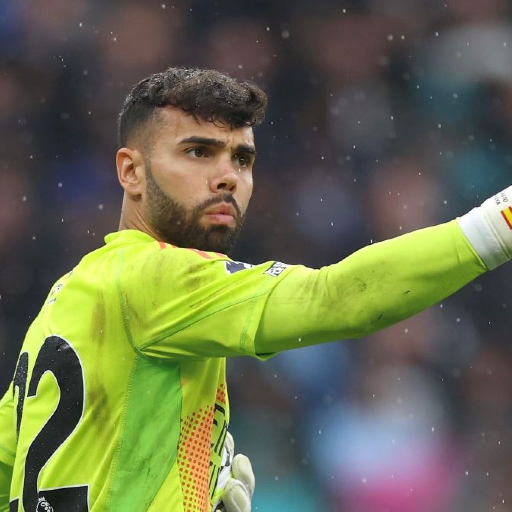 Kiper Arsenal, David Raya mengalami cedera. Foto: x.com/StatmanDave