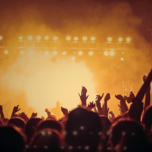 Siap-siap! Tiket Konser, Rumah, Deterjen, dan Fast Food akan Dikenai Bea Cukai 