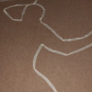 Terungkap! Sosok Devara Putri, Otak dari Tewasnya Indriana Korban Cinta Segitiga Maut Ternyata Seorang Caleg DPR