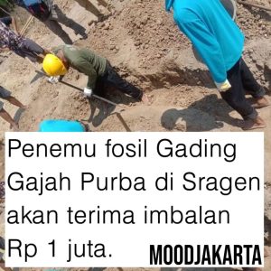 Rudi Hartono, Penemu Fosil Gading Gajah Purba Akan Diberi Uang Kompensasi 