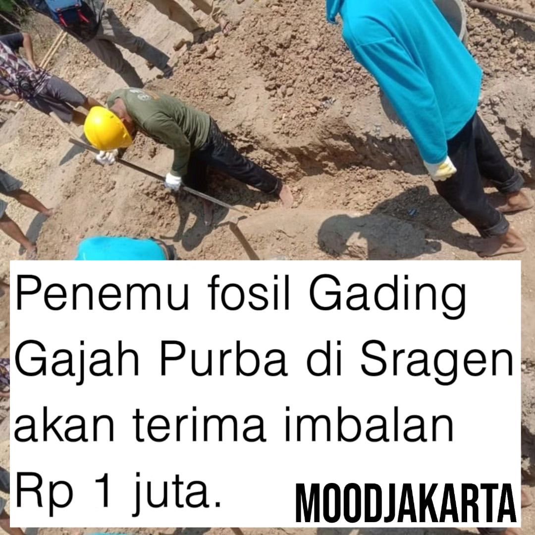Proses penemuan gading gajah purba sepanjang 3.25 meter. (Foto: Instagram @mood.jakarta)