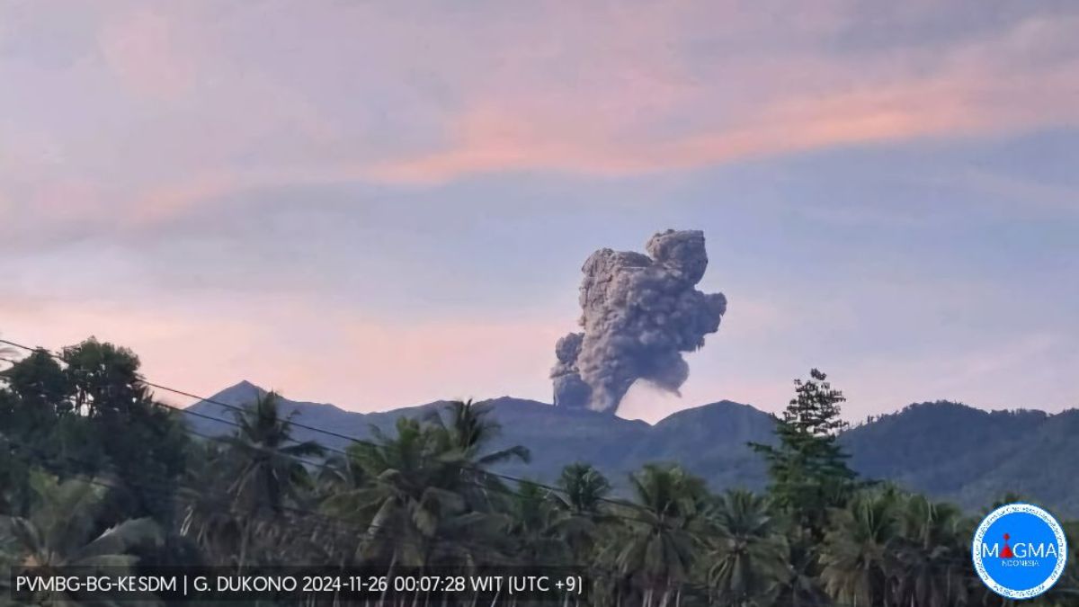 Pada Selasa (26/11/2024) pagi, Gunung Dukono di Maluku kembali erupsi. Foto: magma.esdm.go.id