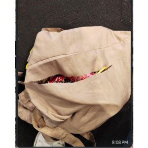 Waspada di PRJ 2025! Modus Copet Silet Tas, 2 Ponsel Hilang dalam Hitungan Detik