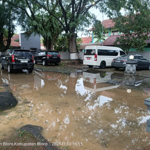 Dampak Hujan Deras dan Angin Kencang di Kawasan Blora, Belasan Pohon Tumbang